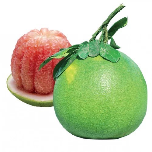 Bưởi hồng