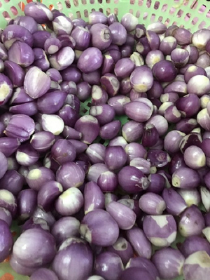 Hành tây đã bóc vỏ