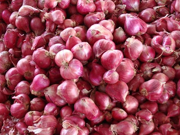 Hành tím