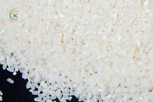 Gạo Japonica với tỷ lệ gạo vỡ 5%