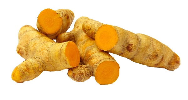 Nghệ