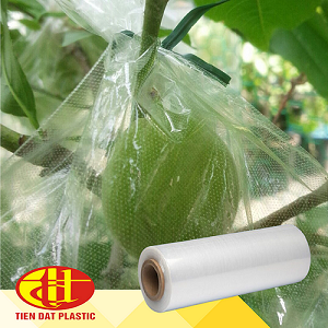 Cây ăn quả phủ màng LDPE