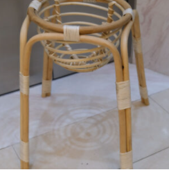 Chậu trồng cây