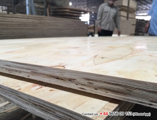 Gỗ dán Việt Nam giá rẻ
