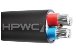 Dây cáp điện không bọc vỏ HPWC, Dẫn điện bằng nhôm.