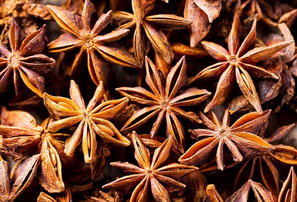 Hoa hồi