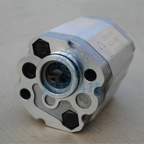 Bơm dầu CBK Gear