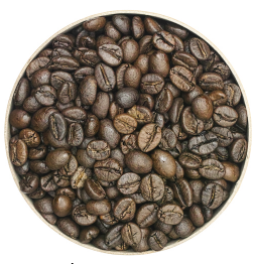 Cà phê Robusta