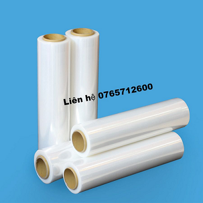 Bộ phim PE