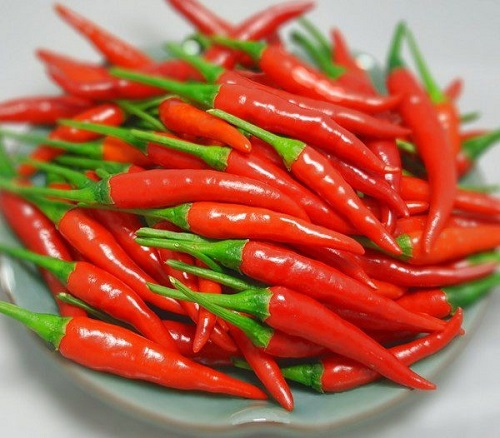 Ớt tươi
