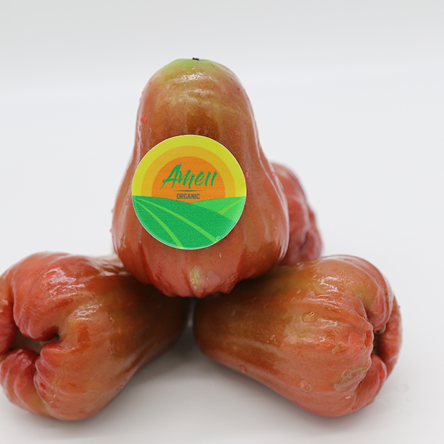 Táo hồng tươi
