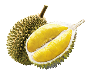 Sầu riêng