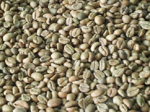 Hạt cà phê Excelsa