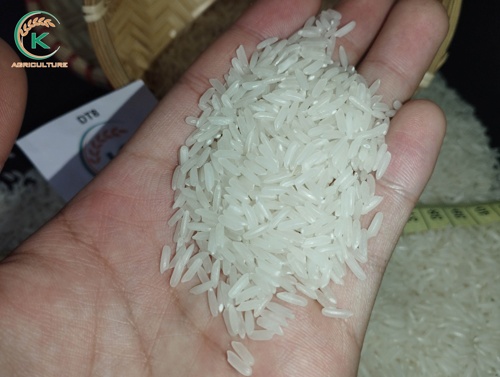 Gạo DT08 hạt vỡ 5%