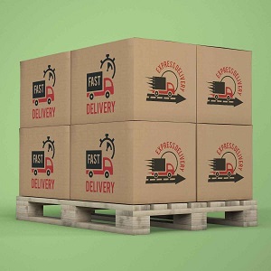 Hộp Carton