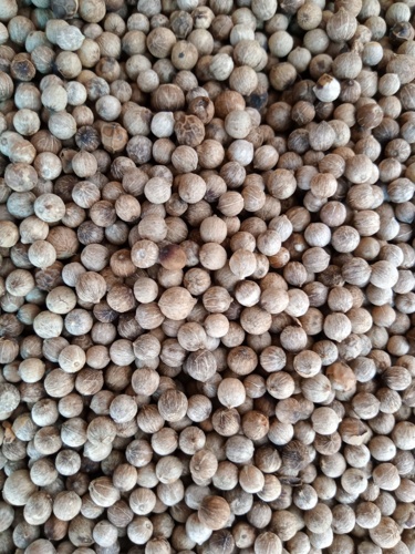 Tiêu trắng