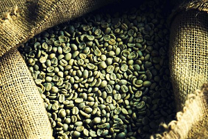 Hạt cà phê Arabica