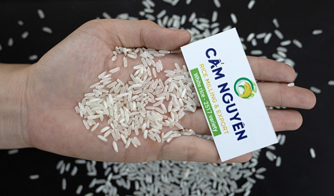 2517 Gạo trắng