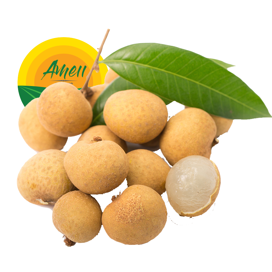 Longan tươi