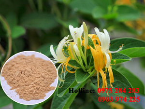 Bột hoa cỏng