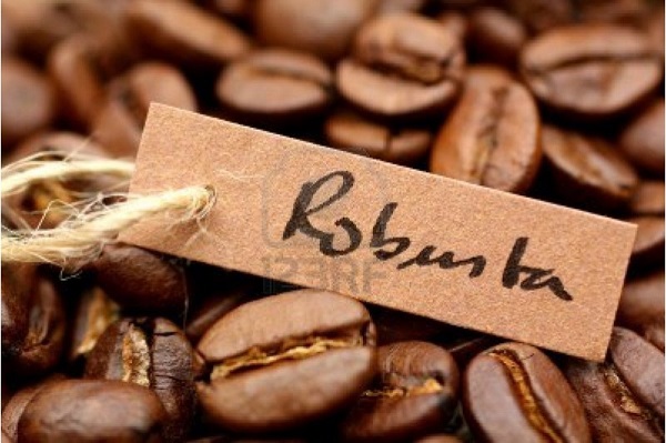 Hạt cà phê Robusta rang