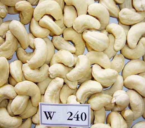 Hạt điều sống W240