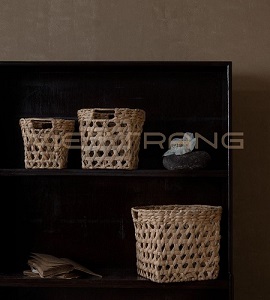 Bình trồng cây trong nhà