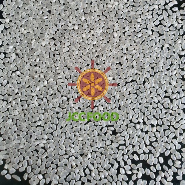 Gạo trắng hạt tròn