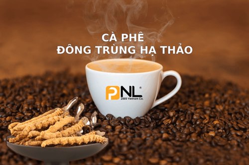 Xử lý cà phê Cordyceps