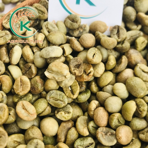 Cà phê Robusta xanh đã được làm sạch khô - Thương mại thương mại
