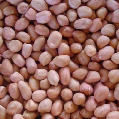 Đậu phụng Việt Nam