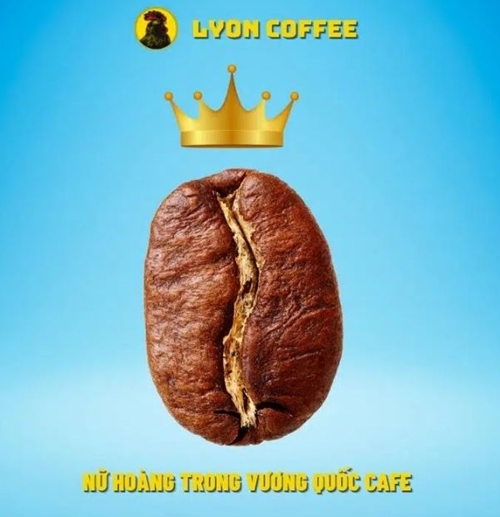 Hạt cà phê Cầu Đất Moka