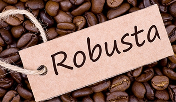Cà phê Robusta