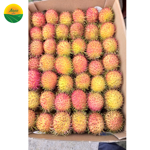 Rambutan tươi