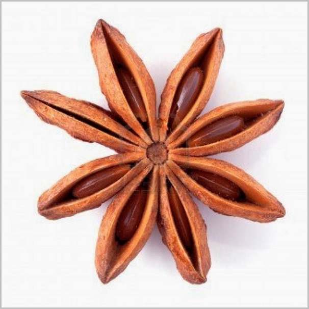 Hoa Hồi