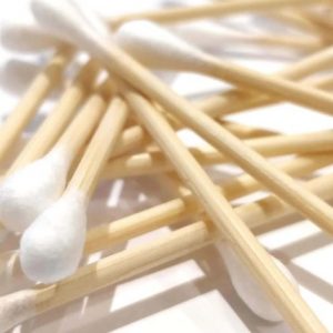 Cây cọ tre