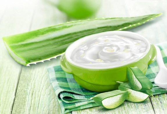 Aloe vera cho sữa chua