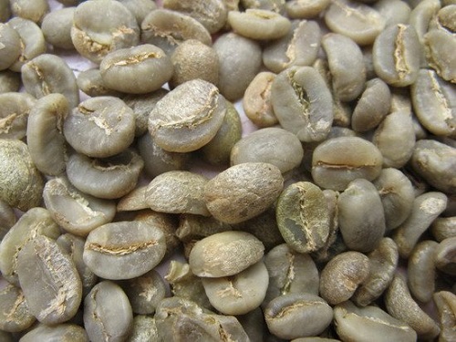 Cà phê Arabica G1S16