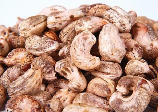 Hạt điều tươi chưa bóc vỏ