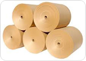Vải PP dệt cuộn với giấy Kraft