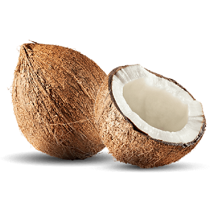 Dừa