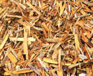 Cây quế Cassia ép