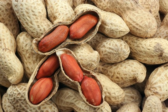 Lạc Ấn Độ