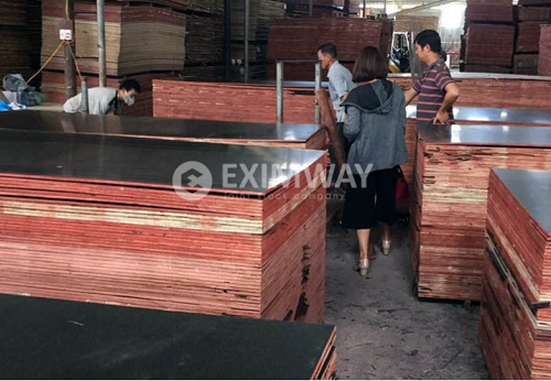 Đồng bộ phim lớn kích thước - Ván ép phủ phim