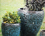 Tien Hung BP Công ty TNHH Một Thành Viên