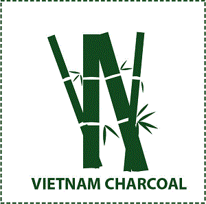 Công ty Than Việt Nam Hạn chế