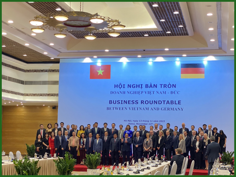 Bưởi hồng