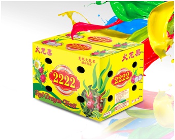 Đóng gói thùng carton cho trái cây