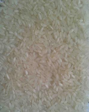 Gạo Camolino Việt Nam 5% Bể