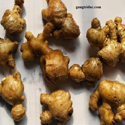 Dầu tinh chất gừng